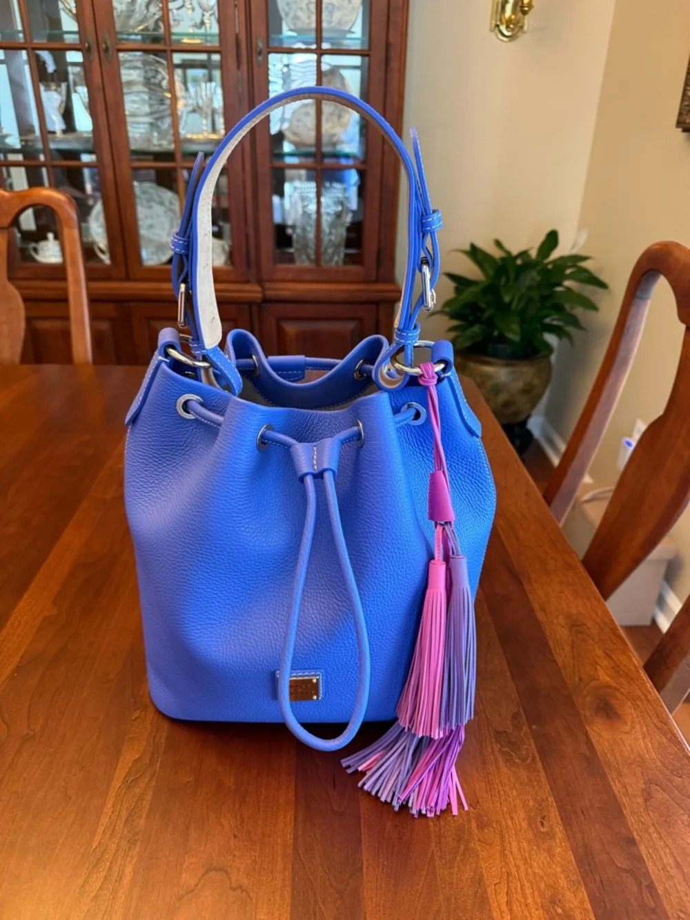 NWOT Dooney & Bourke Lucca Leather Drawstring Bag with Multi-Color Tassels - Picture 1 of 16